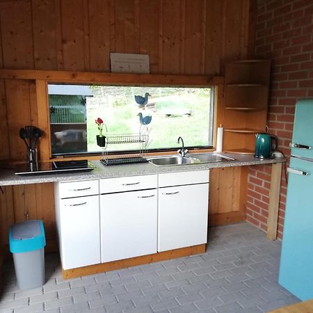 Falkenberg  Ferienwohnung Und Sommerhaus Unter Der Burg מראה חיצוני תמונה