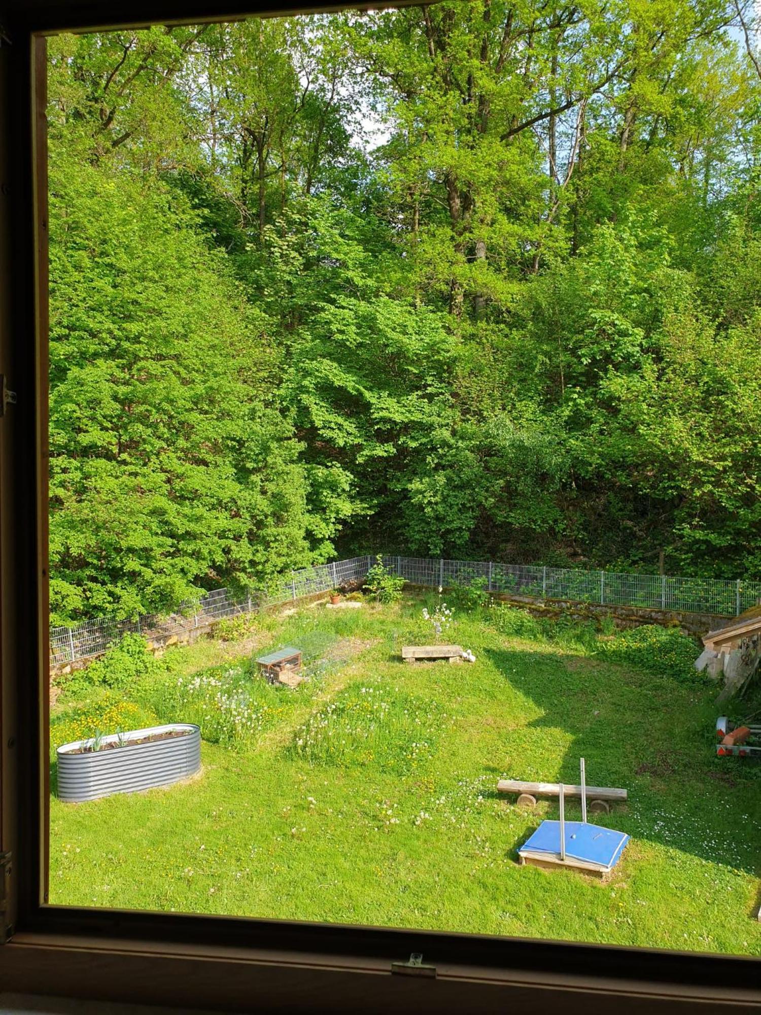 Falkenberg  Ferienwohnung Und Sommerhaus Unter Der Burg מראה חיצוני תמונה